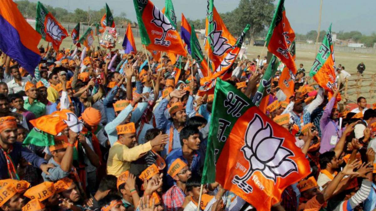 जिला पंचायत चुनाव से जीत की ओर BJP, कांग्रेस पार्टी का बेहद बुरा हाल, AAP का शानदार प्रदर्शन