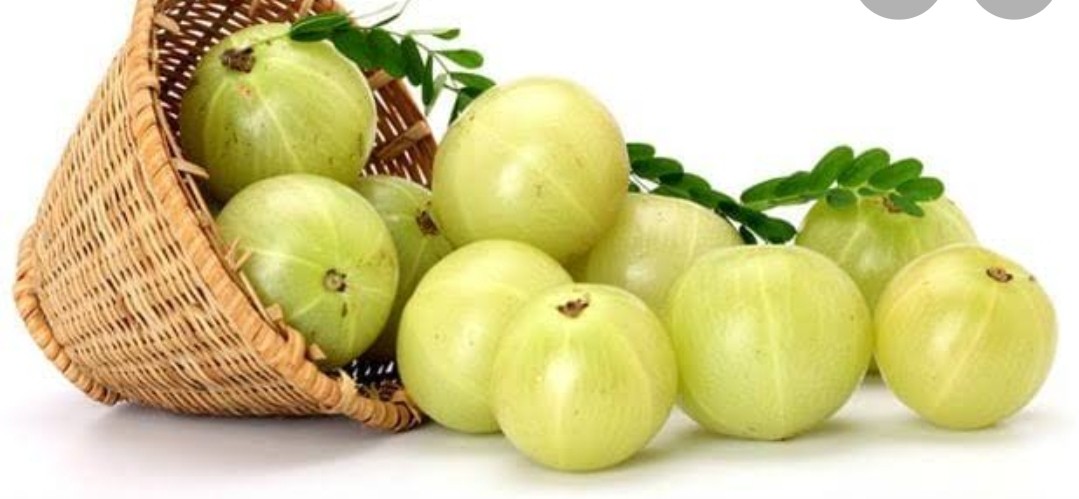 यदि आपको हमेशा जवान और स्वस्थ रहना है तो ये उपाय अपनाएं !! 2 Screenshot 20210315 211927 Google