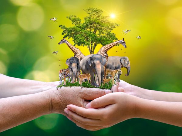 #WorldWildlifeDay: World Wildlife Day 2021 टॉप सोशल ट्रेंड 9 World Wildlife Day 2021