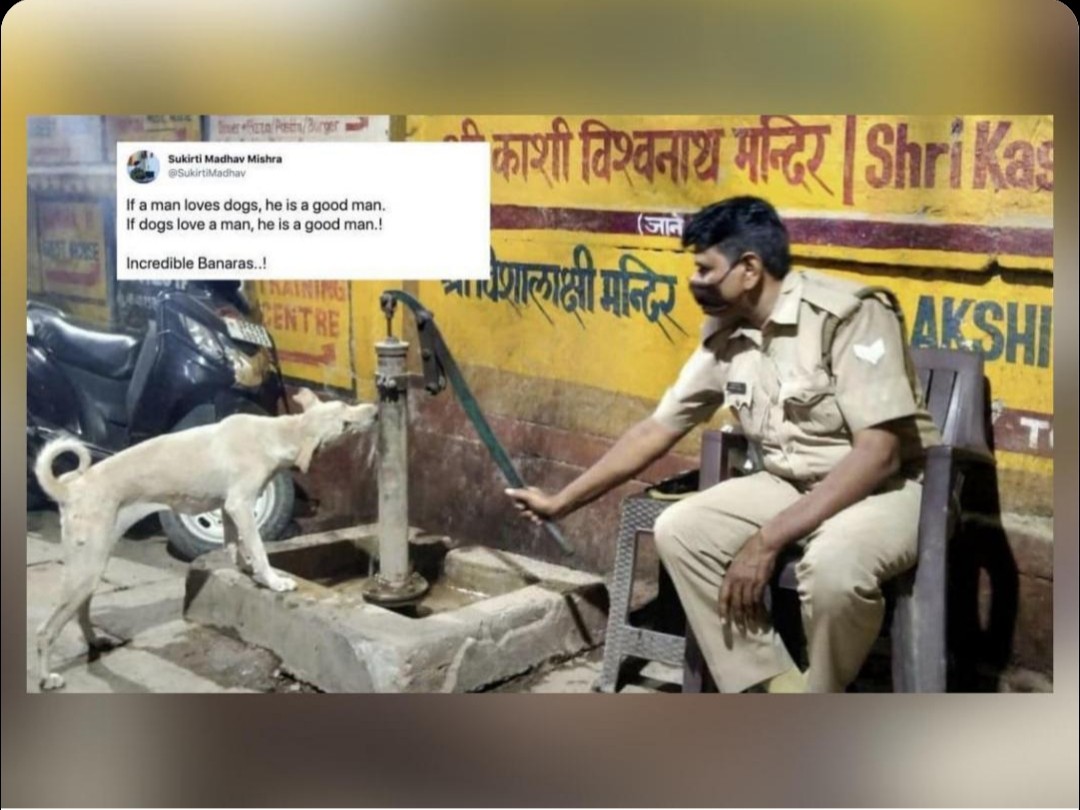 आईपीएस अफसर ने शेयर की प्यासी कुत्ते की मदद करते हुए नाइट ड्यूटी पर तैनात पुलिसकर्मी की फोटो 1 20210510 103826