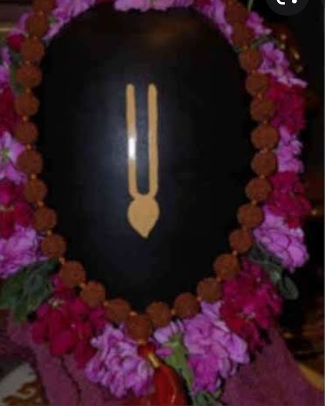 Screenshot 20210511 093531 Google