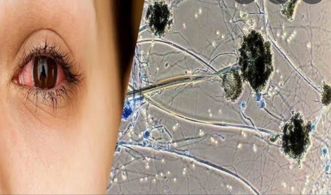 Screenshot 20210522 232722 Google