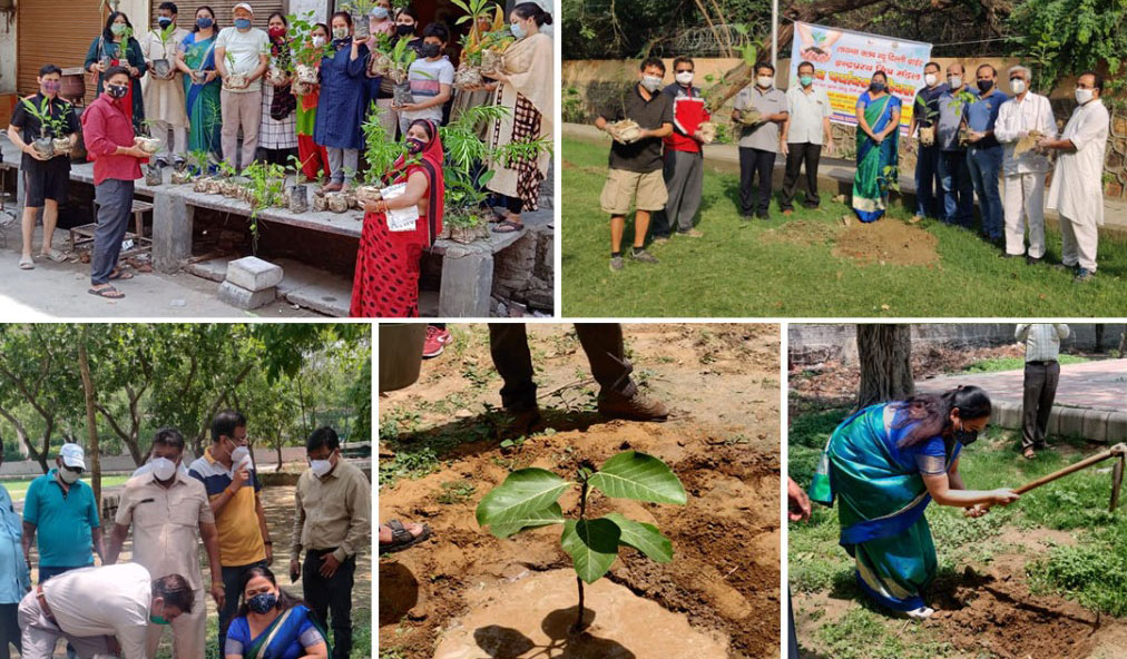 World Environment Day 2021: दिल्ली निगम पार्षद Aparna Goel ने पौधारोपण कर दिया पर्यावरण संरक्षण का संदेश 1 22 1