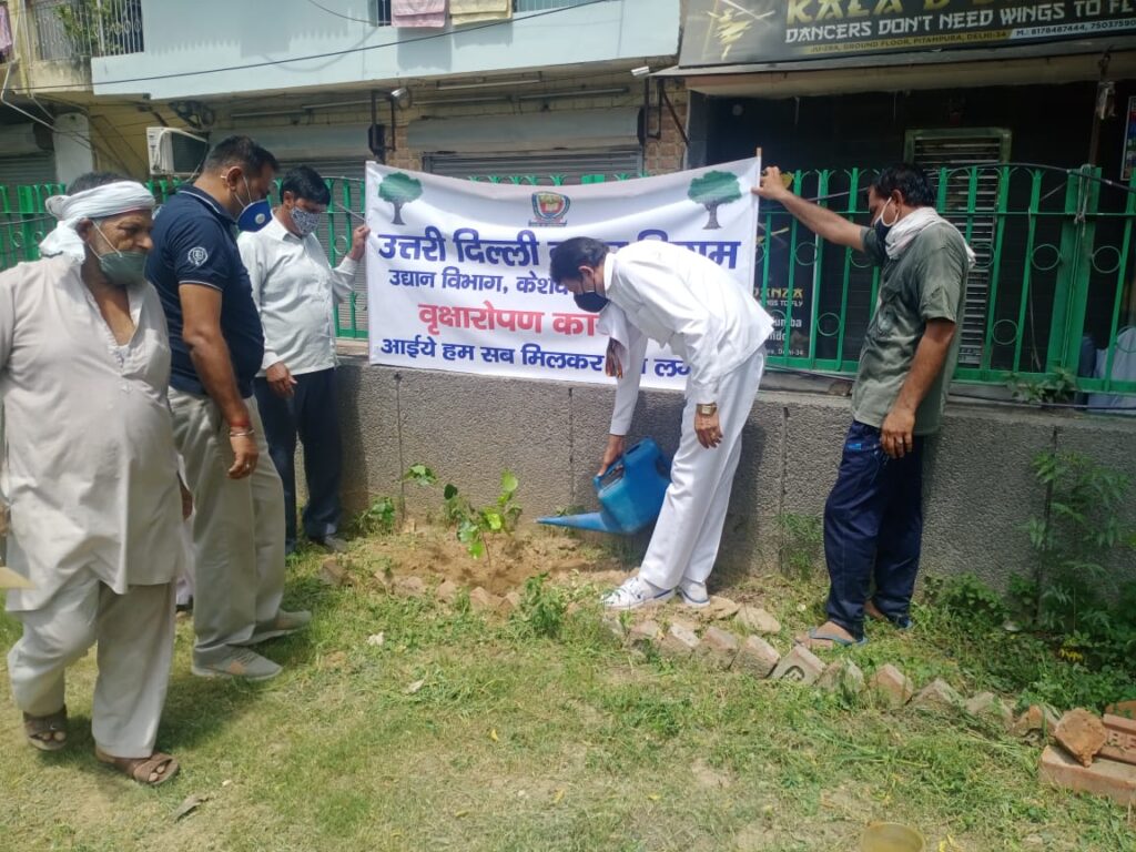 डॉ श्यामा प्रसाद मुखर्जी पर्यावरण पखवाड़े के अंतर्गत आज JU ब्लॉक पीतमपुरा शिव शक्ति मन्दिर के साथ वाले पार्क में वृक्षारोपण कार्यक्रम किए- सुजीत ठाकुर निगम पार्षद 4 3 3