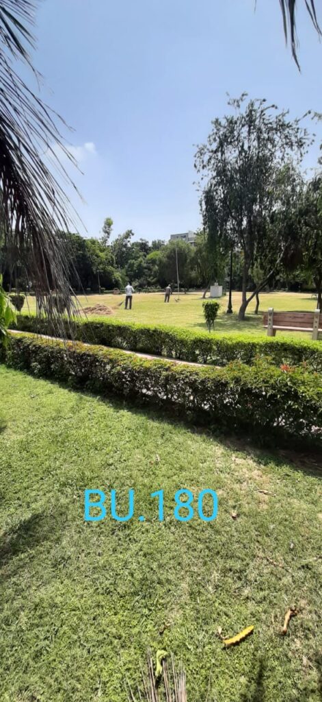 आज 29 जून मंगलवार को मैने अपने वार्ड नंबर 61में JU ब्लॉक पीतमपुरा में वर्क्स विभाग द्वारा गली रिपेयर करवाए-सुजीत ठाकुर निगम पार्षद 4 5 4