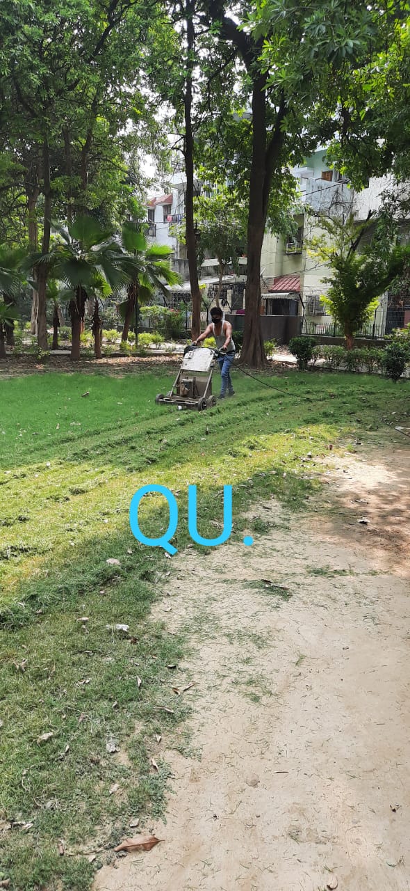 आज 24 जून को JU ब्लॉक पीतमपुरा में वर्क्स विभाग द्वारा गली रिपेयर करवाए- सुजीत ठाकुर निगम पार्षद 6 6 3