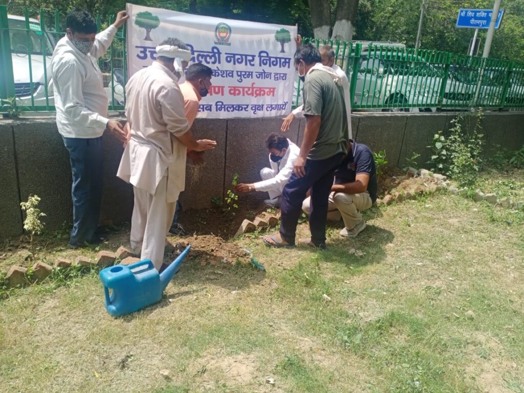 डॉ श्यामा प्रसाद मुखर्जी पर्यावरण पखवाड़े के अंतर्गत आज JU ब्लॉक पीतमपुरा शिव शक्ति मन्दिर के साथ वाले पार्क में वृक्षारोपण कार्यक्रम किए- सुजीत ठाकुर निगम पार्षद 5 6 5