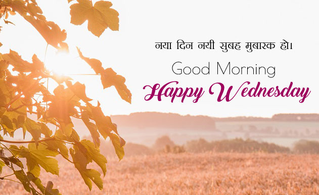 #wednesdaythought: Wednesday Thought Trend on Twitter 1 Happy Wednesday Quotes Imag