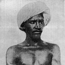 #BirsaMunda: Birsa Munda Trend on Twitter 1 birsamunda