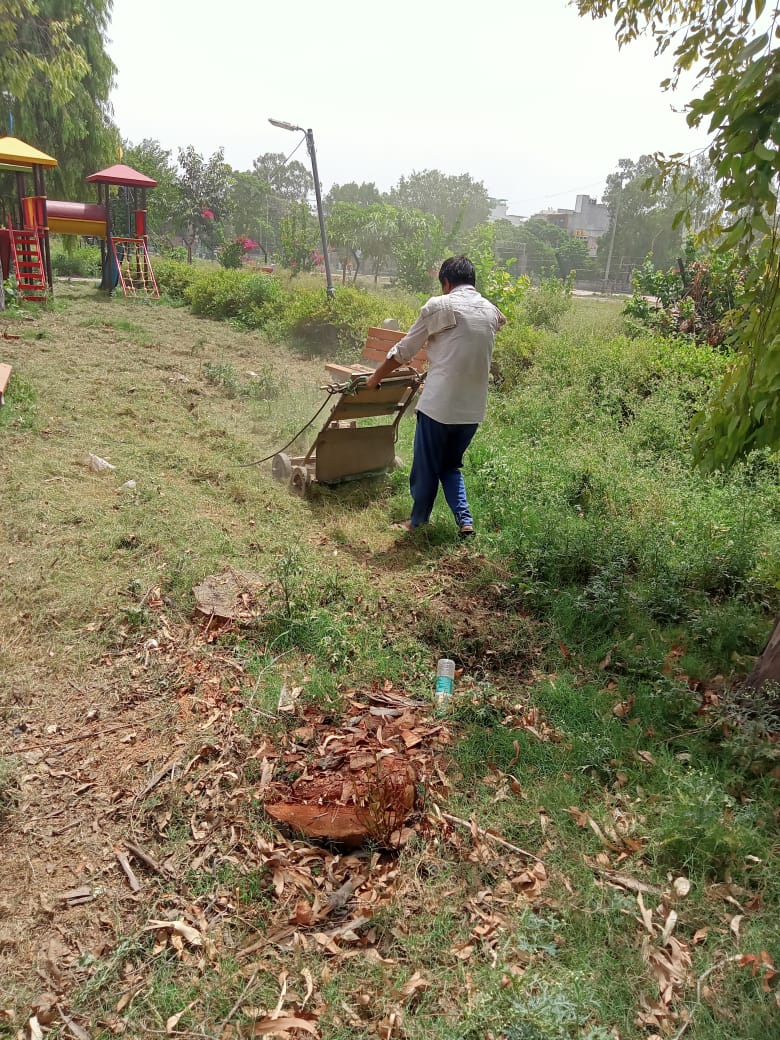 हैदरपुर बस स्टैंड वाले पार्क में प्रधान राज सिंह यादव जी का जो पत्थर लगवाया था उसपर आज प्लास्टर करवाया गया QU ब्लॉक में स्लेब लगाया- Sujeet Thakur 3 5