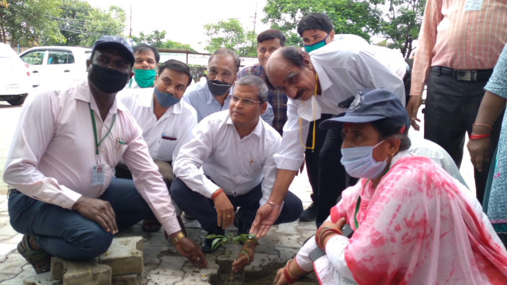 Bajpur News बाजपुर दीवानी न्यायालय में रोपे गए पौधे: 1 image 4