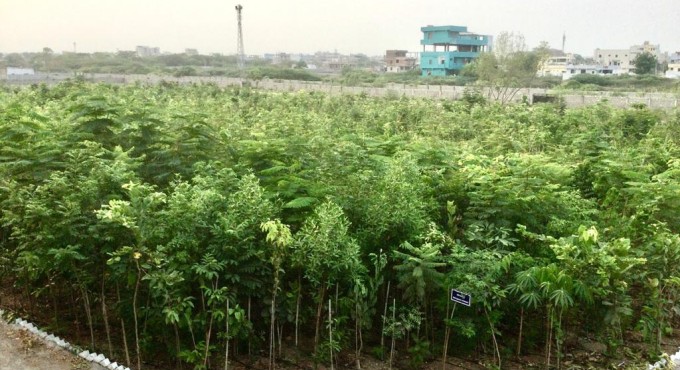 Watch: A mini forest inside Karimnagar Police training centre 1 Karimnagar police centre 1