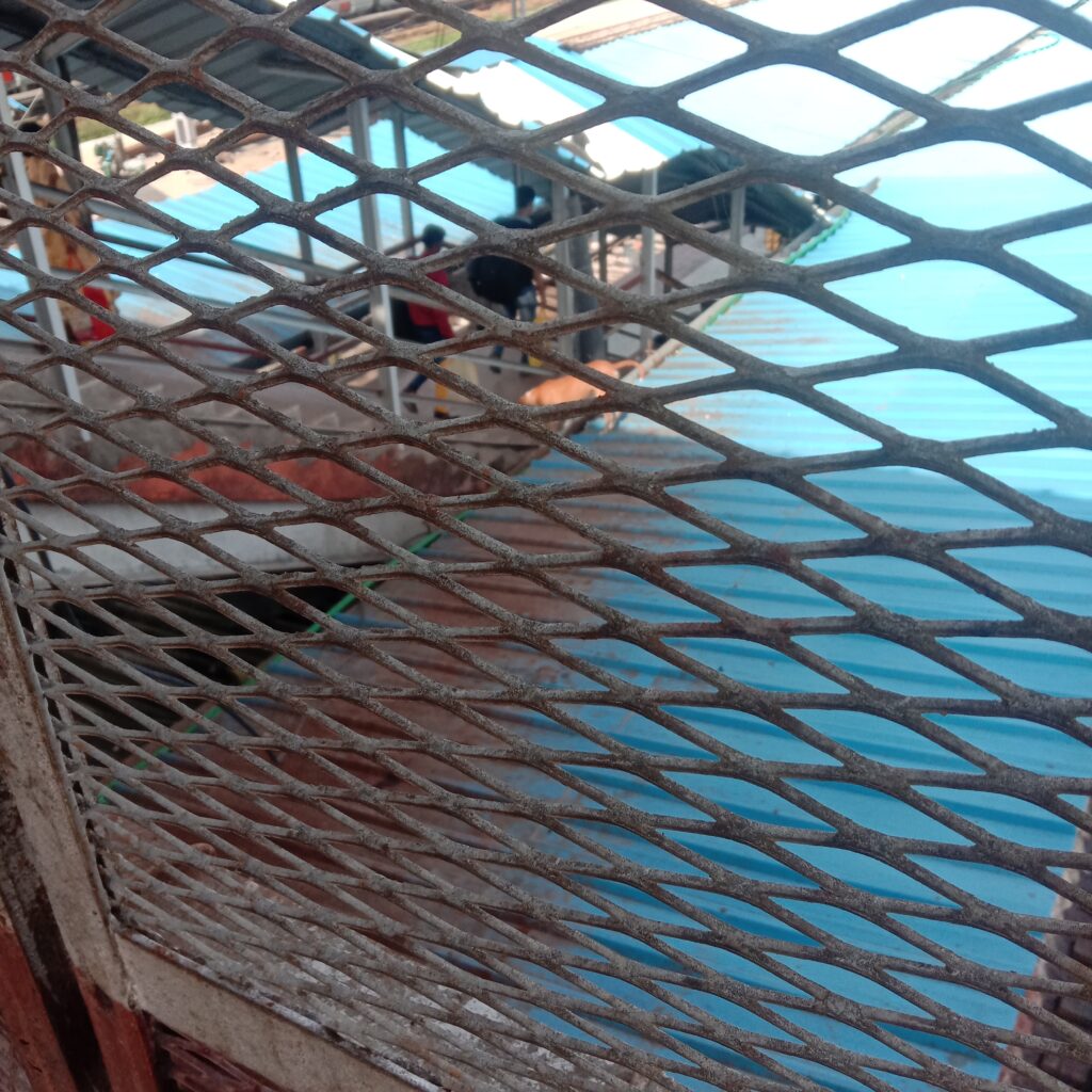 Muzaffarpur Junction सफाई व्यवस्था को तरसता मुजफ्फरपुर जंक्शन 3 IMG 20210930 083633