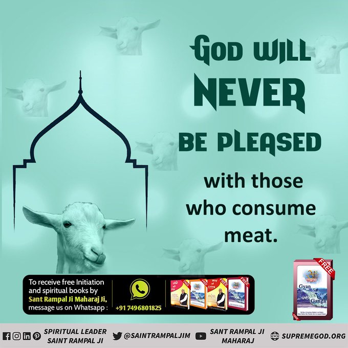 #BeVegetarian: Be Vegetarian Trending on Twitter 4 FAlfGLwVEAQNquA