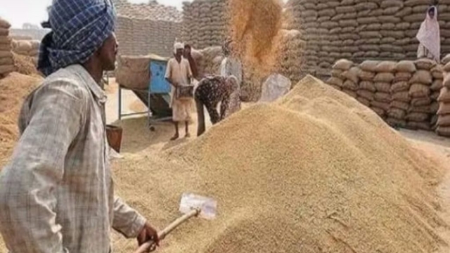 यूपी में गेहूं खरीदने के लिए अब गांव-गांव जाएगी सरकार