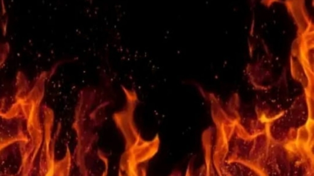 इलाहाबाद हाईकोर्ट के सामने स्थित महाधिवक्ता कार्यालय में लगी भीषण आग