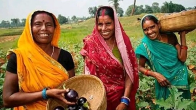 यूपी: 20400 महिलाएं करेंगी जैविक खेती