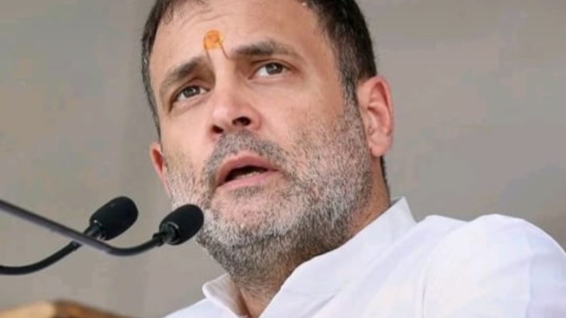 8 चीते तो आ गए लेकिन 8 सालों में 16 करोड़ रोजगार क्यों नहीं आए- राहुल