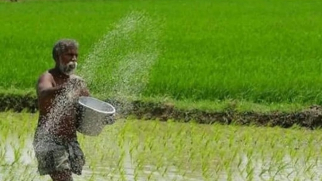 किसानों की किस्मत चमकाएगी नैनो यूरिया, UP में देश का दूसरा प्लांट तैयार