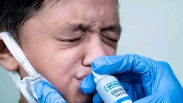 देश के लिए गुड न्यूज, 5 से 18 साल के बच्चों के लिए जल्द आएगी नेजल वैक्सीन