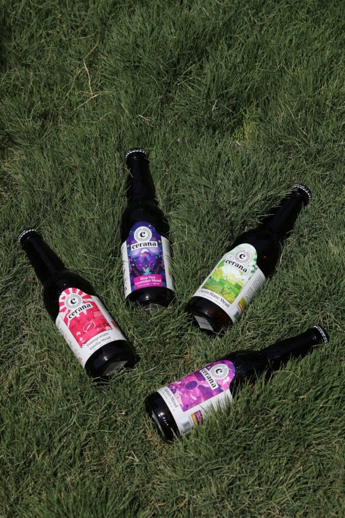 WhatsApp Image 2023 12 07 at 16.47.51